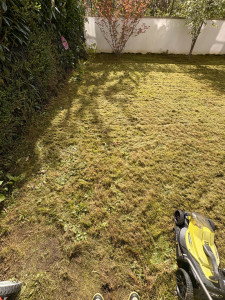 Photo de galerie - Avant création