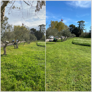 Photo de galerie - Tonte avec tracteur autoporté