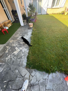 Photo de galerie - Avant 