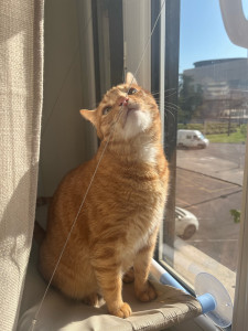 Photo de galerie - Garde de Jay-Z