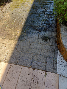 Photo de galerie - Nettoyage des extérieus au karcher