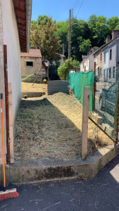 Photo de galerie - Tonte de pelouse - Débroussaillage