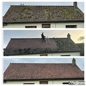 Photo de galerie - Nettoyage de toiture  plus application d’anti mousse d’Alep 2100