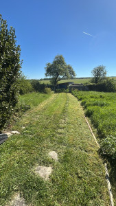 Photo de galerie - Fin de tonte 