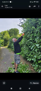 Photo de galerie - Taille de haie de la 