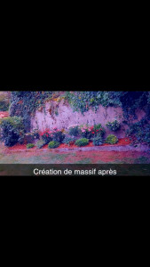 Photo de galerie - Création massif