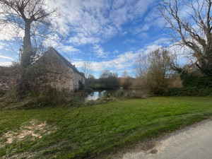 Photo de galerie - Harbre coupe fin de chantier 