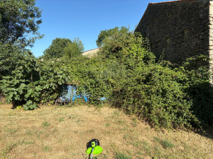 Photo de galerie - Avant 