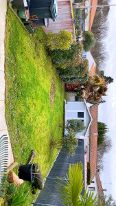 Photo de galerie - Remise en état tailles + tonte