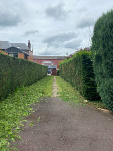 Photo de galerie - Taille de haies et d'arbustes