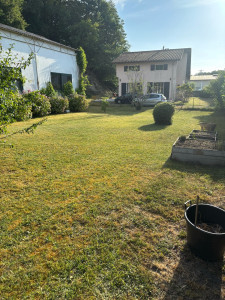 Photo de galerie - Tonte pelouse 