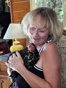 Photo de galerie - Garde animaux