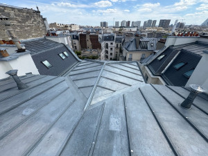 Photo de galerie - Entretien d’une toiture parisienne