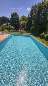 Photo de galerie - Entretien piscine