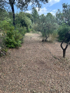 Photo de galerie - Jardinage, débroussaillage