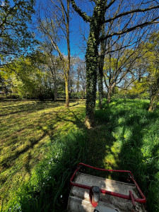 Photo de galerie - Paysagiste - Aménagement du jardin