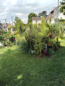 Photo de galerie - Elagage et coupe d'arbres