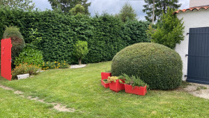 Photo de galerie - Entretien espaces verts 