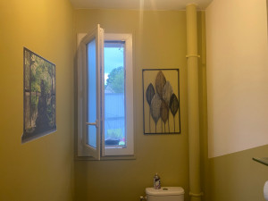 Photo de galerie - Peinture wc