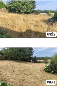 Photo de galerie - Tonte de pelouse - Débroussaillage