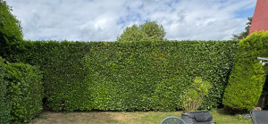 Photo de galerie - Taille 