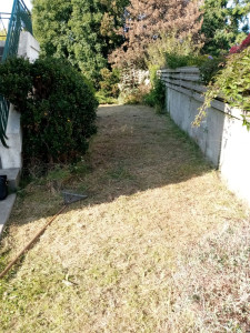 Photo de galerie - Tonte de pelouse - Débroussaillage