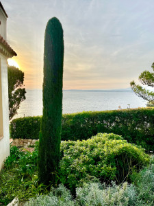 Photo de galerie - Toute sorte de tailles. 