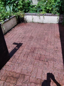 Photo de galerie - Nettoyage terrasse auto bloquant
Retiré les mauvaises herbes et nettoyage haute pression