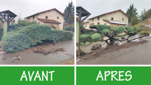 Photo de galerie - Taille de haies et d'arbustes