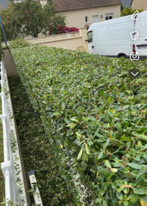 Photo de galerie - Jardinier