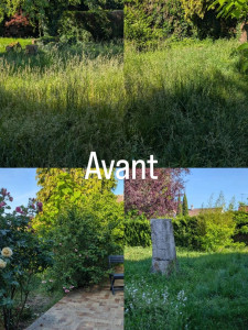 Photo de galerie - Petit rafraîchissement de jardin 