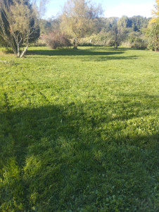 Photo de galerie - Tonte de pelouse 