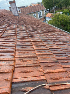 Photo de galerie - Nettoyage aux produits 