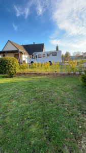 Photo de galerie - Plantation de haies 