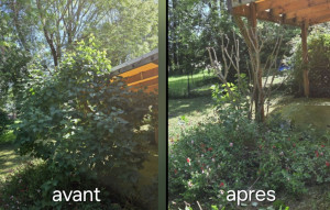 Photo de galerie - Petit élagage 