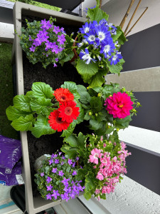 Photo de galerie - Jardinier