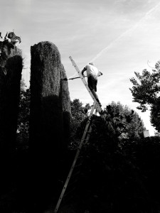 Photo de galerie - Jardinier