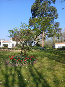 Photo de galerie - Le résultat se voit au printemps 