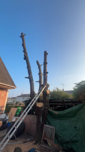 Photo de galerie - Pendant