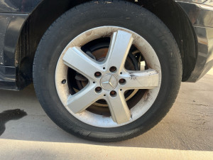 Photo de galerie - Toujours disponible 