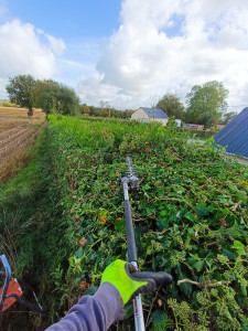 Photo de galerie - Taillade haie 