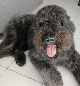 Photo de galerie - Accueil 