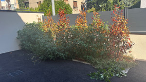 Photo de galerie - Jardinier