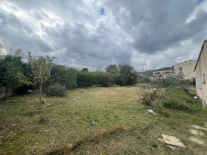 Photo de galerie - Débroussaillage