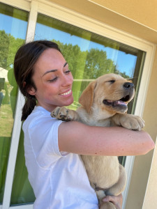 Photo de galerie - Garde chien