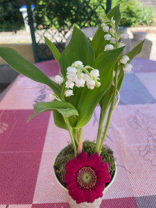 Photo de galerie - Je porte bonheur !…