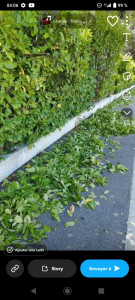 Photo de galerie - Jardinier