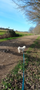 Photo de galerie - On va voir les chevaux 