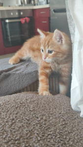 Photo de galerie - Ashka, quand elle avait 2 mois