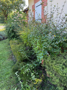 Photo de galerie - Avant 